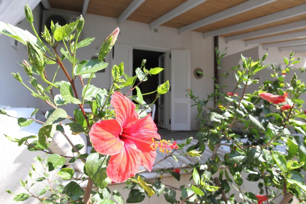 Villa Sea Rose Lipari  Ruang foto