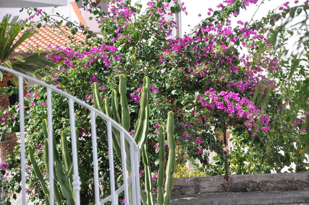 Villa Sea Rose Lipari  Bagian luar foto